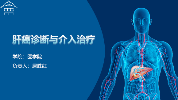 基于影像技术的肝癌诊断与介入治疗虚拟仿真(演示)